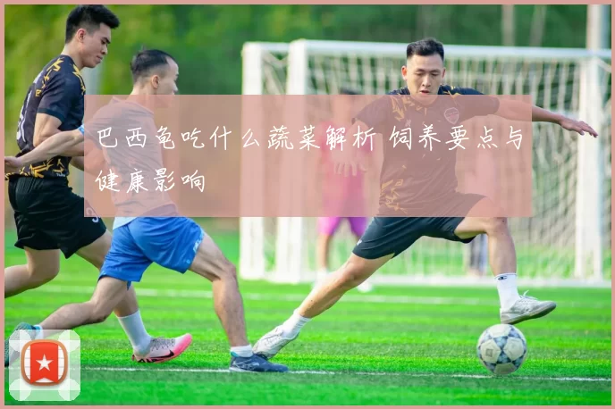 巴西龟吃什么蔬菜解析 饲养要点与健康影响