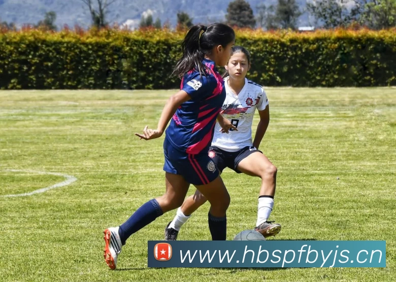 万搏app官网登录入口 - 万搏(中国)APP 高清赛事图